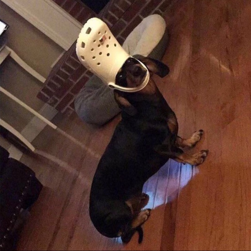 这的山头儿是我的