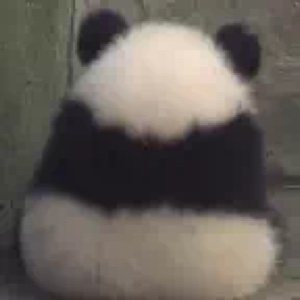 专业吐槽几十年