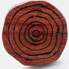 爱吃西米豆浆的维塔