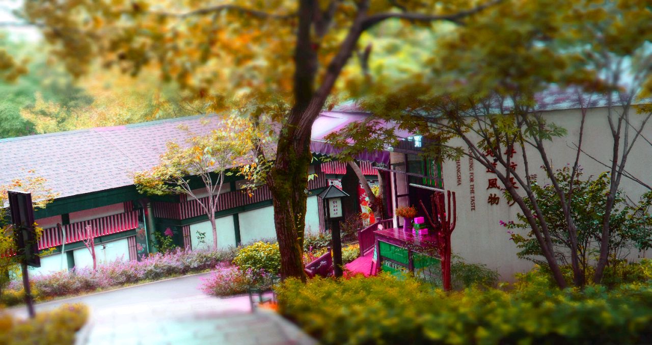 上天入地的程序猿