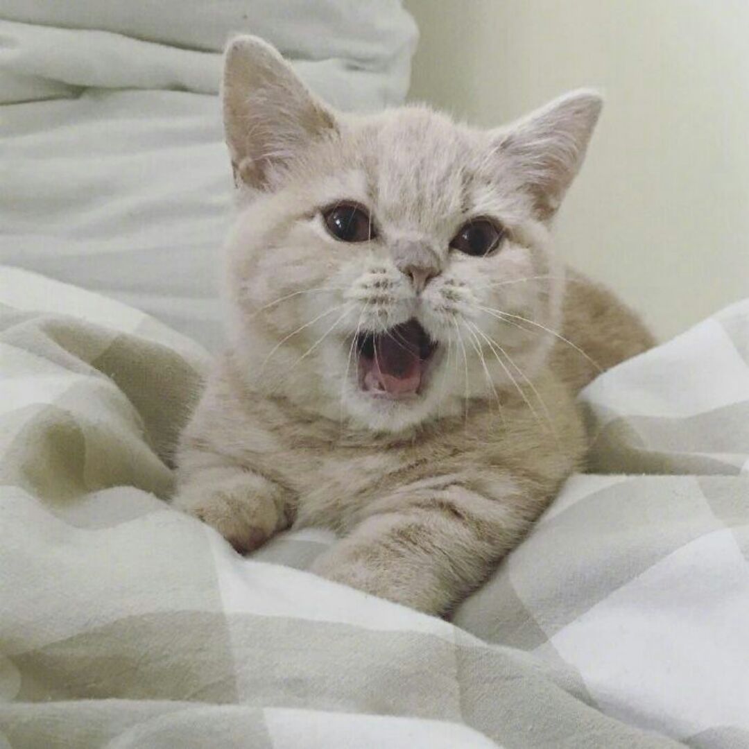 超级无敌美少女稳