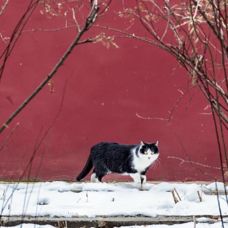 我看世界无所事事的