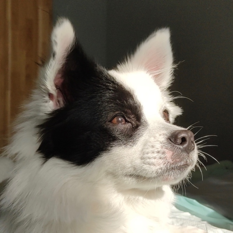 啊啊啊啊啊啊橙