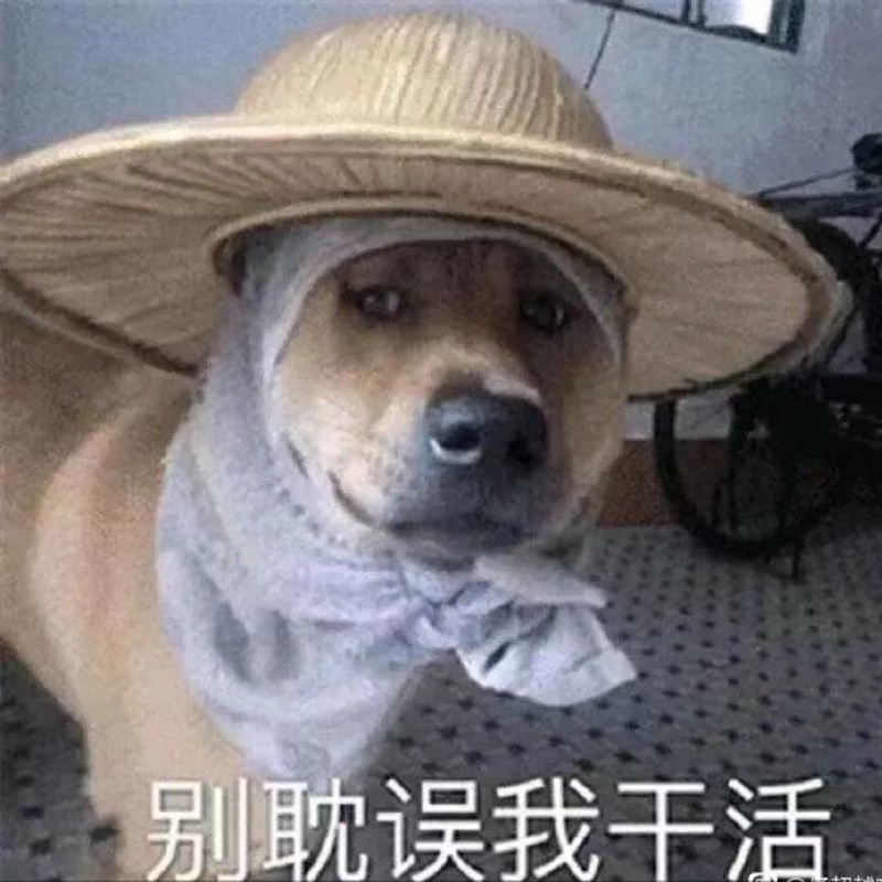 庞各庄布鲁斯韦恩