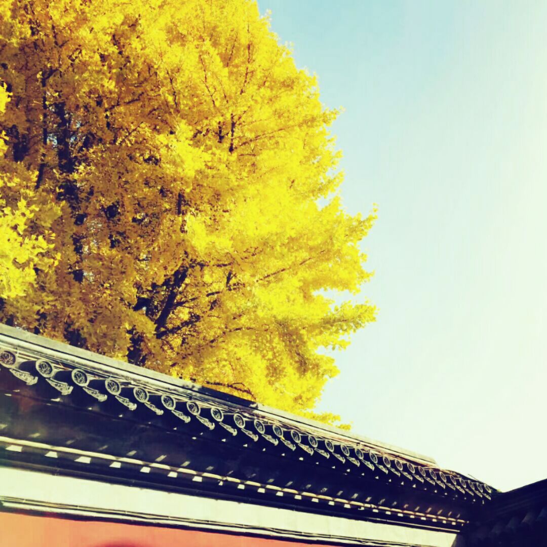 一个男人的海洋xyz