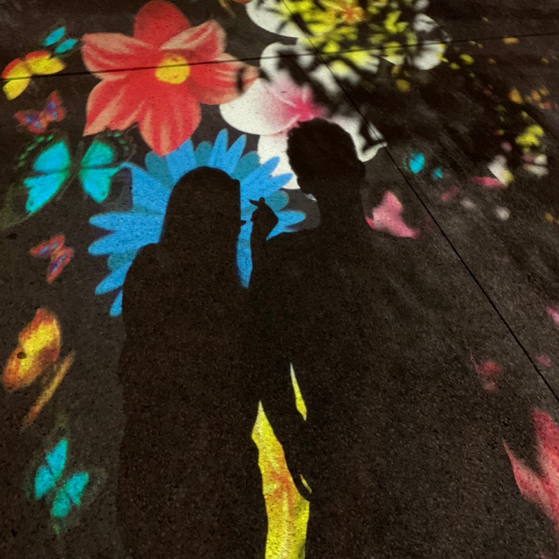 先生家的馒头姐