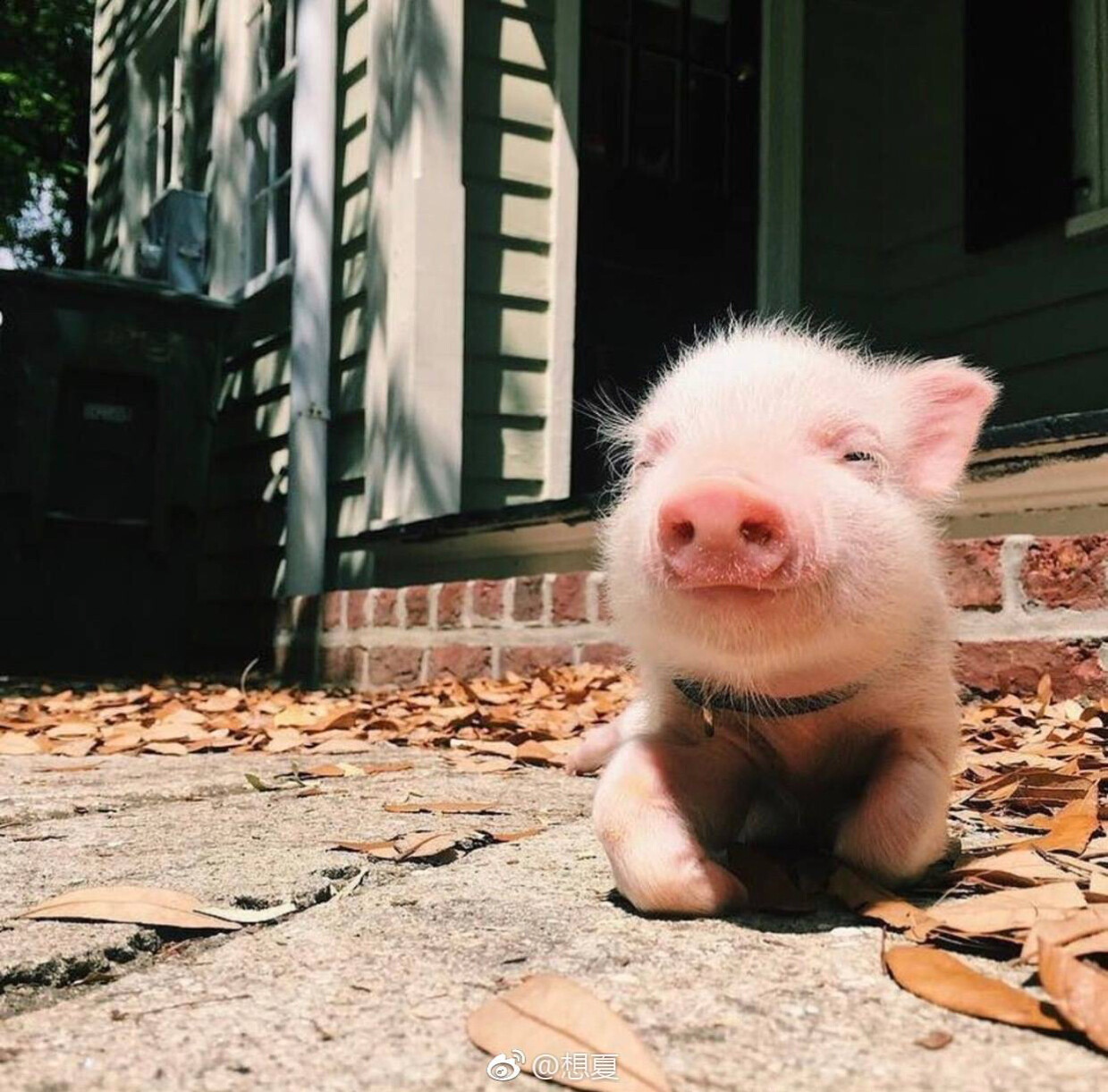 为中华崛起而上班