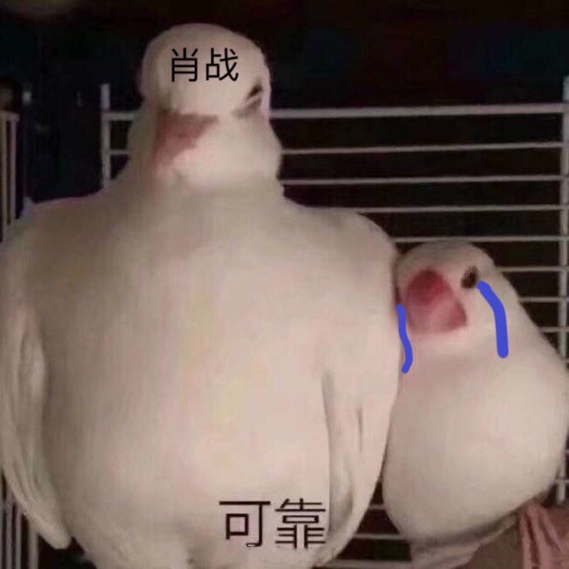 江离载菁DAYTOY