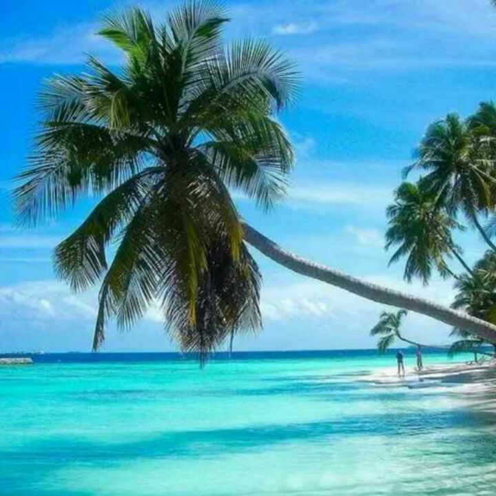 TB一笑泯恩仇888