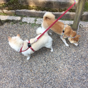 你还买不买东西