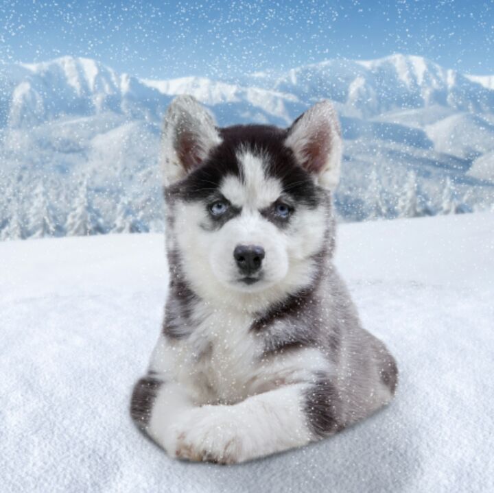 快乐平安很简单