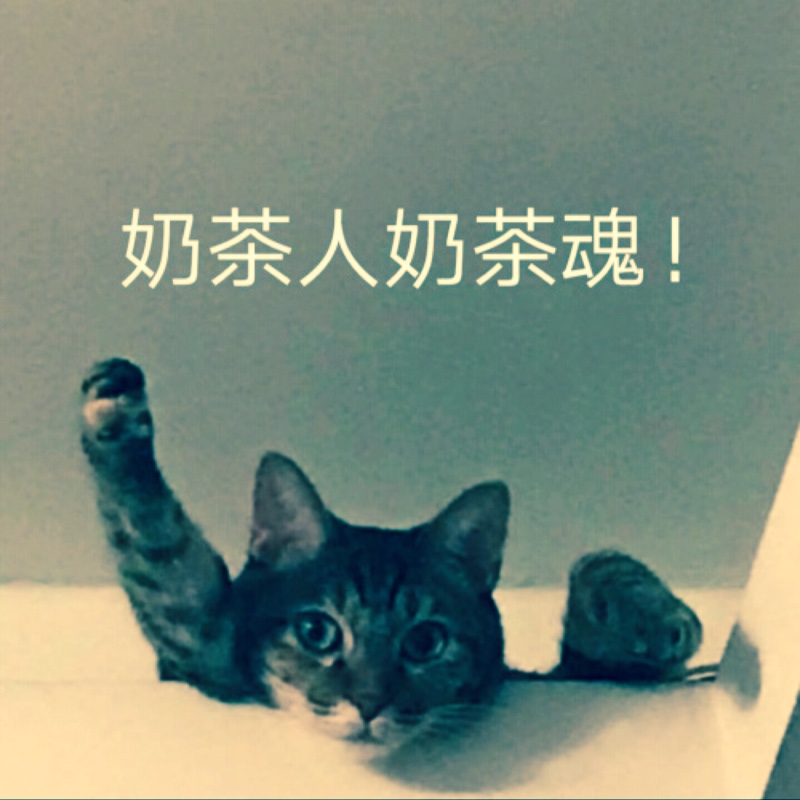 豆绿的三分三粉00