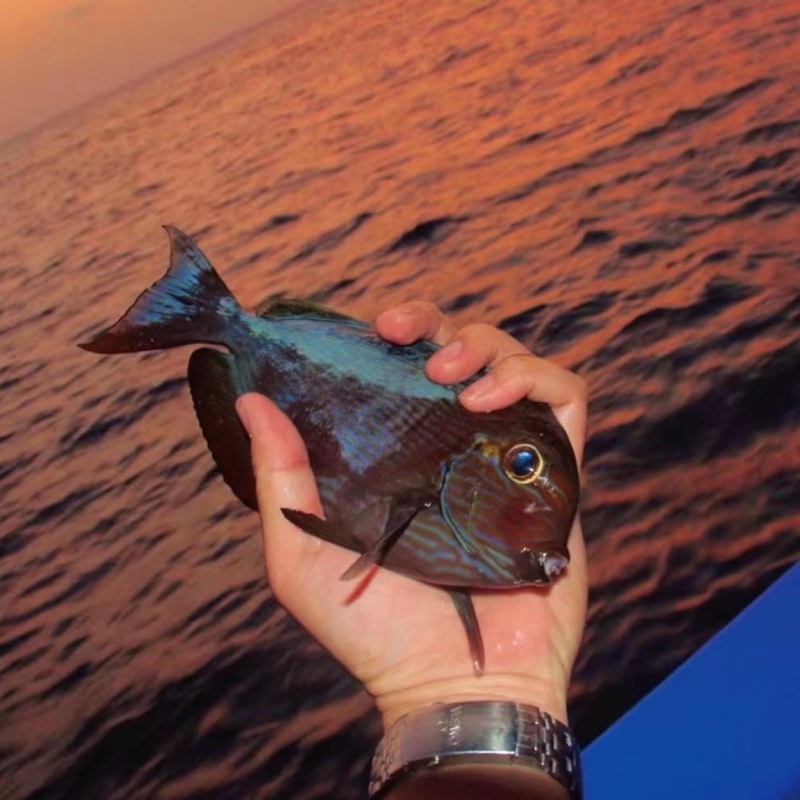 昂昂昂昂昂昂昂啊