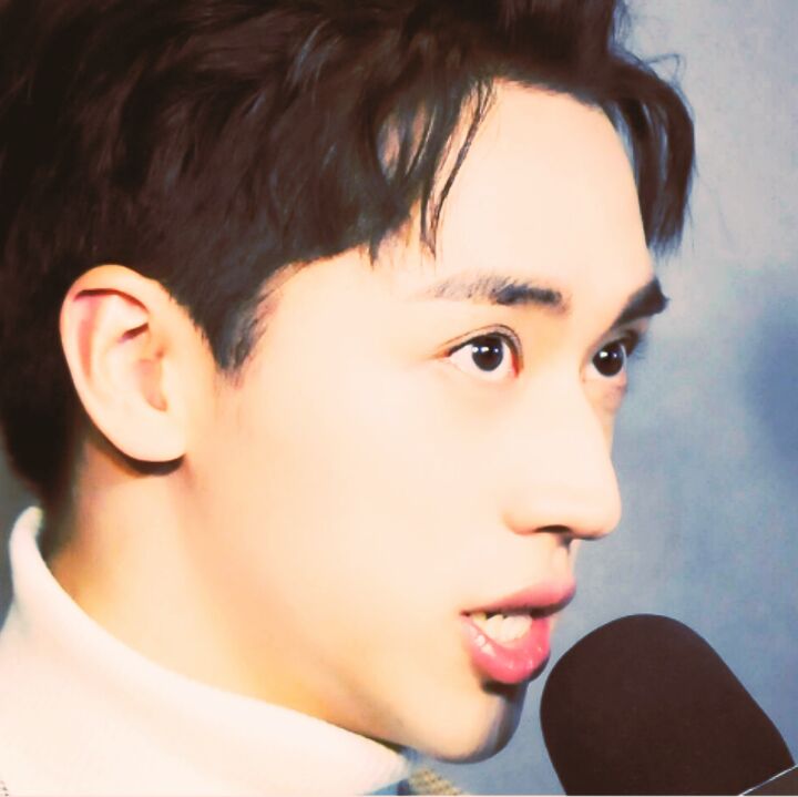 爱吃三仙豆腐的太阳啾啾