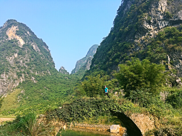 爱吃紫薯米糕的年华