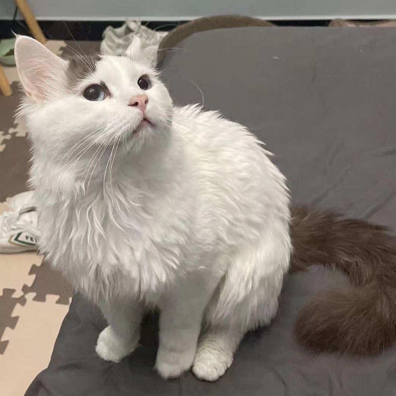 只买5块钱的东西