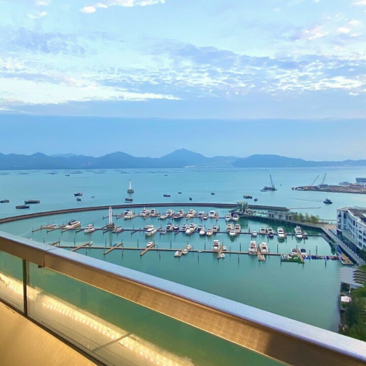 爱吃榴莲包子的冰红茶