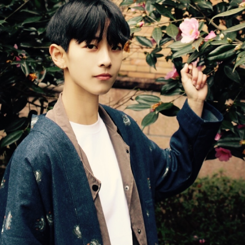 艺术家的小乌龟