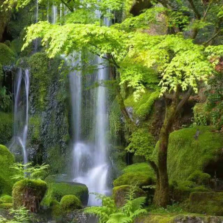 鱼儿挂在天宫号