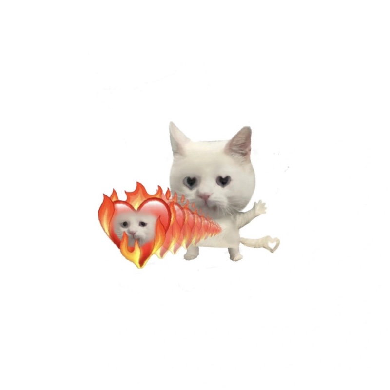 不知名靓女小马