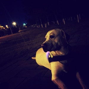 时刻牢记省着点花