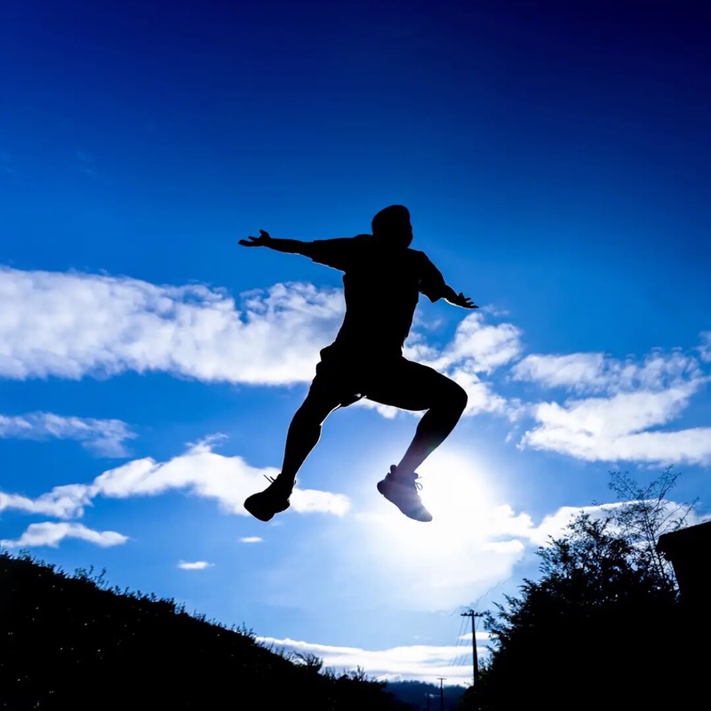 紫色的不丹嵩草zj