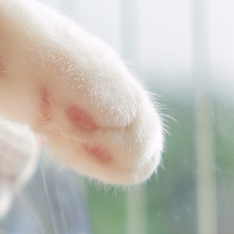 冰蓝轻轻松小步子