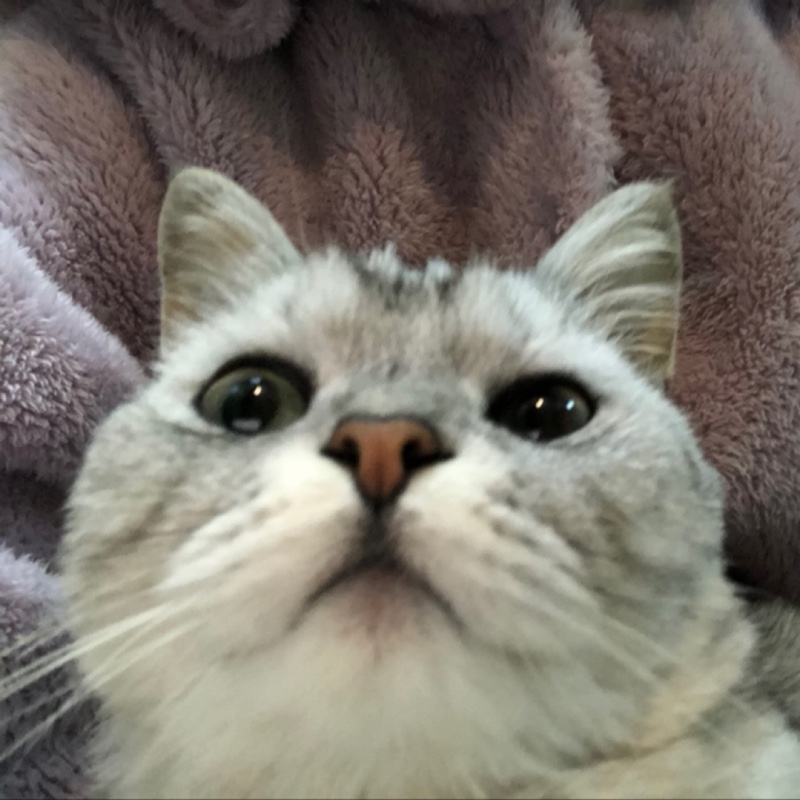 我怎么老是失眠