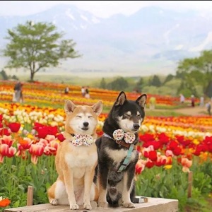 要做小太阳的蕾蕾