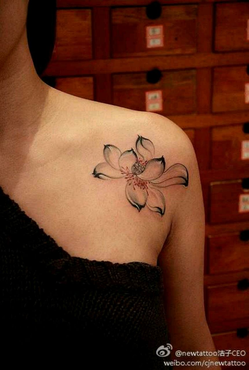 流落凡间的独角兽