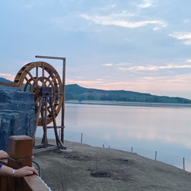 暗紫的三刺皂角