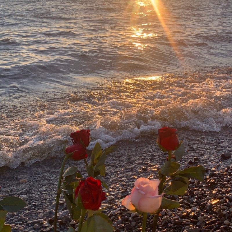 爱吃芒果的小仙女