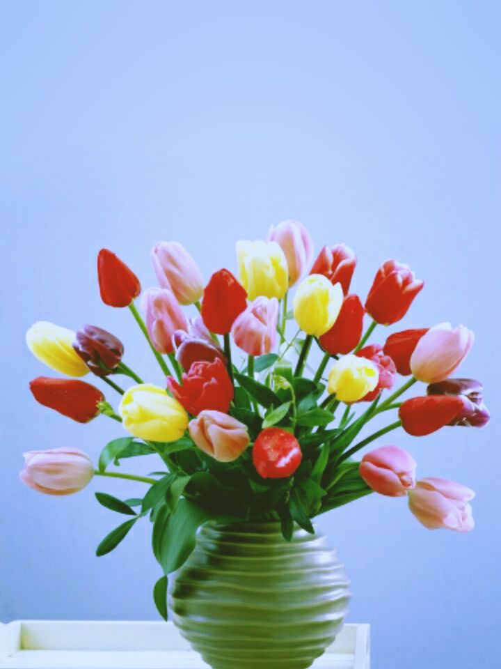 凤郡街坦率的饼干