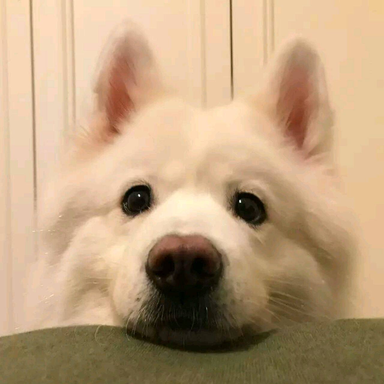 阿西莫夫的Robot