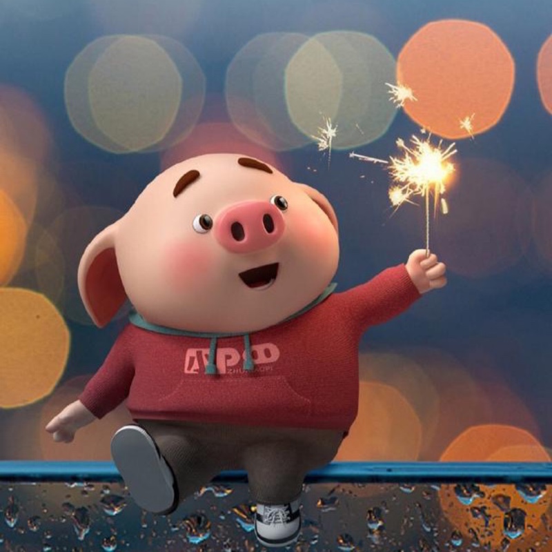 向阳而生的太阳花