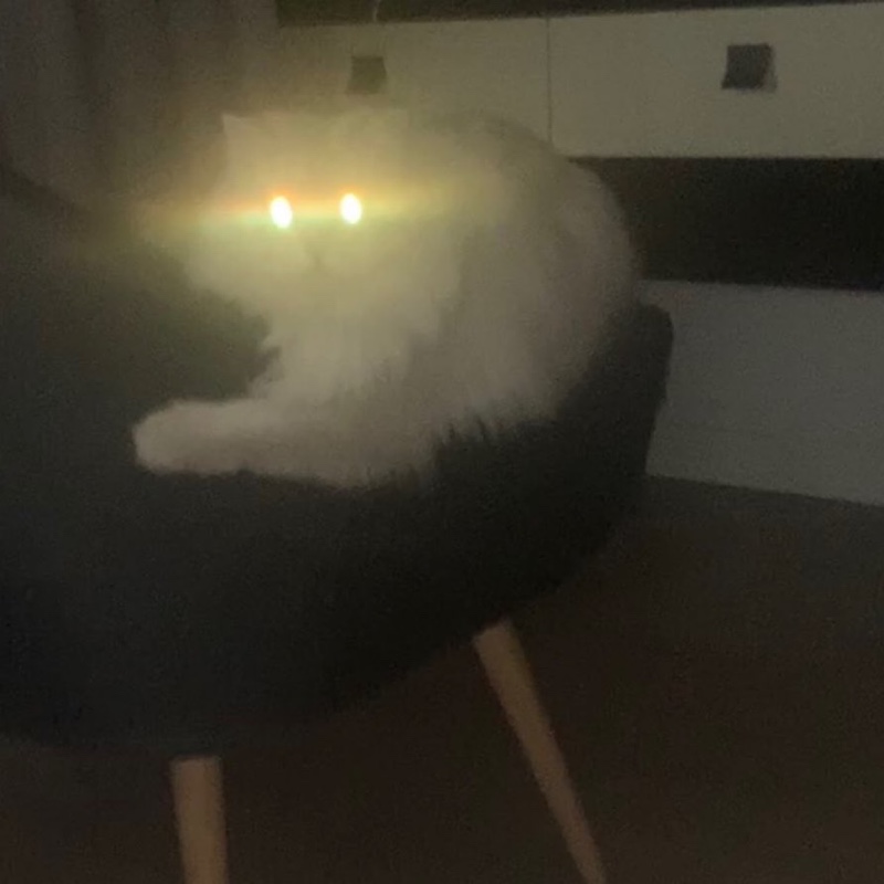 喜欢悠哉独自在的我