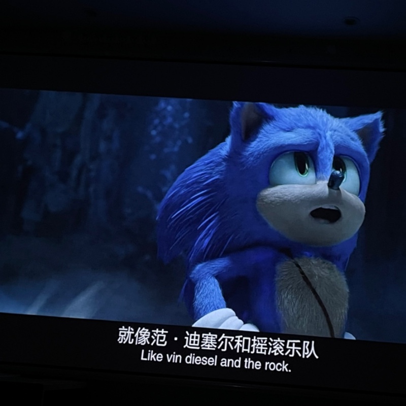 有点梦想的小咸鱼