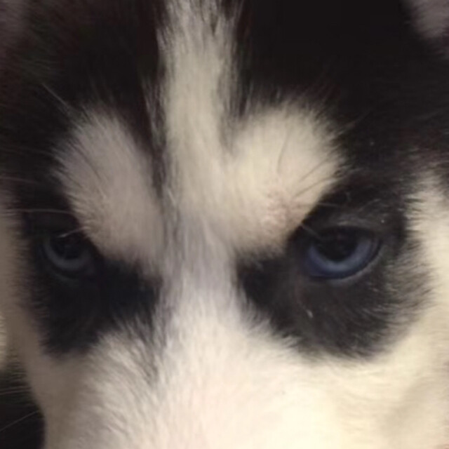 爱与正义的化身