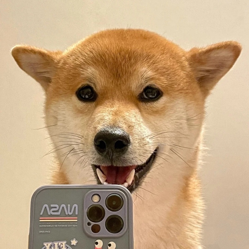 骑个小毛驴提把破长矛