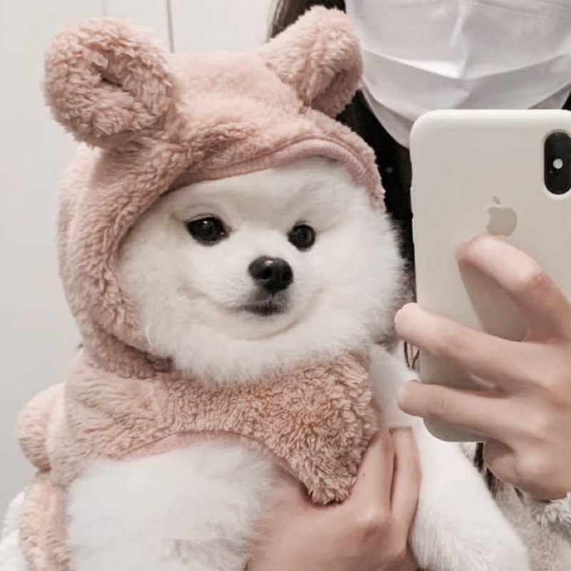 月亮它是原谅色