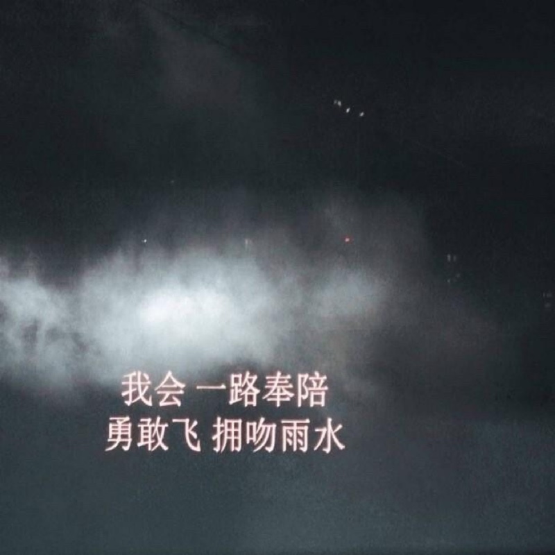 劳资洗发爱飘柔