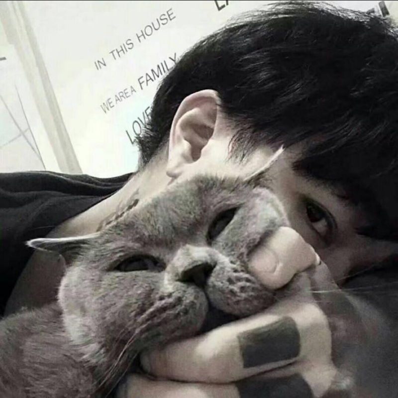 白花花的东京樱花