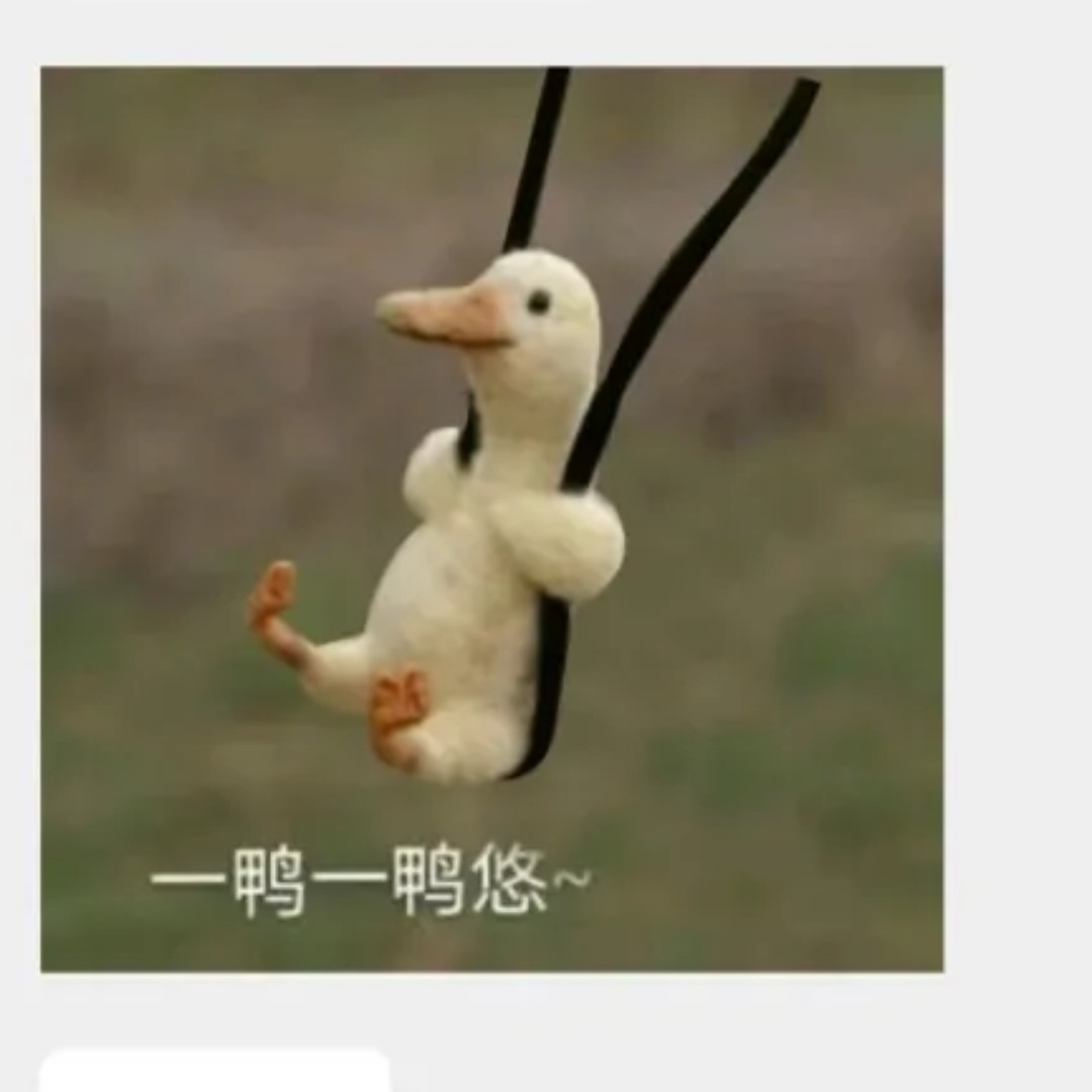 爱吃红豆派的羊肉卷