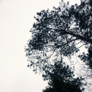 遥望秦汉，梦归盛唐