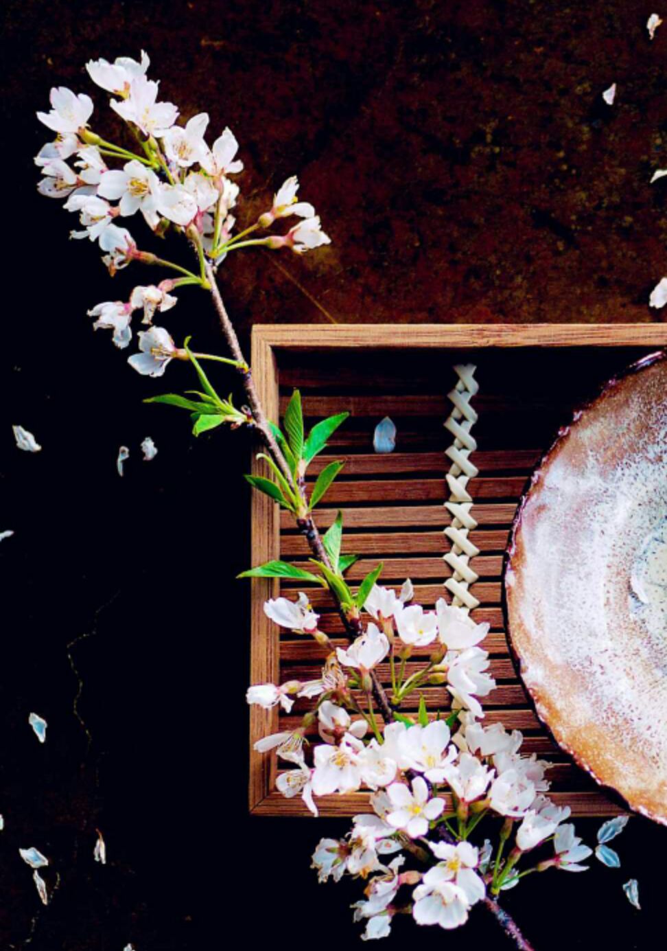 爱吃蛋煎饺子的油桃