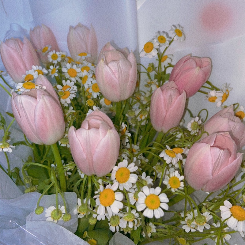 猪是的念来过倒