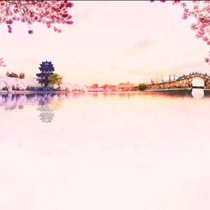 王晓晨是孤独患者