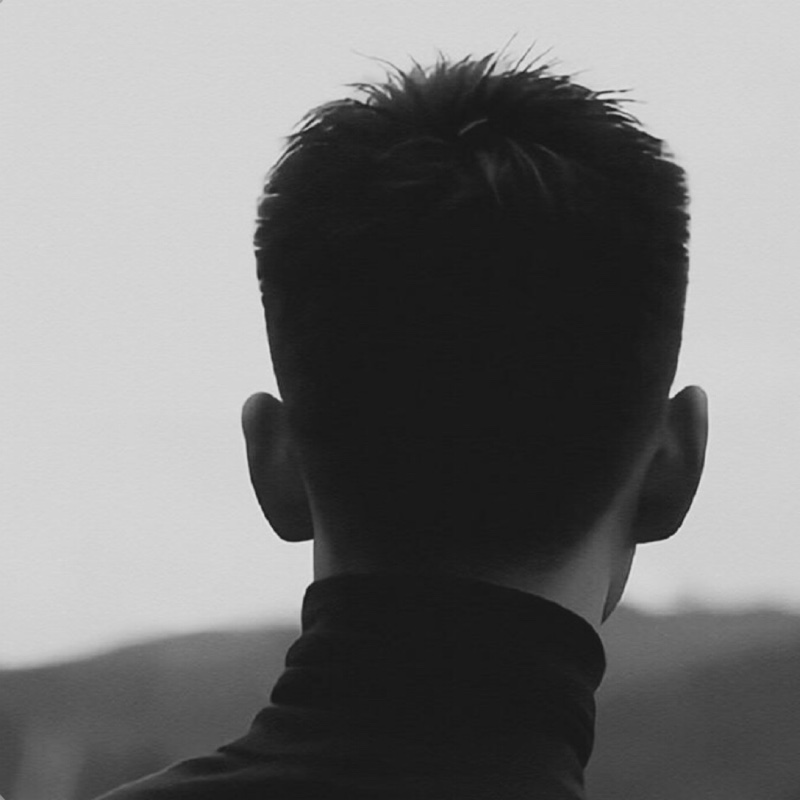 爱吃三丝鸡脯的黑土