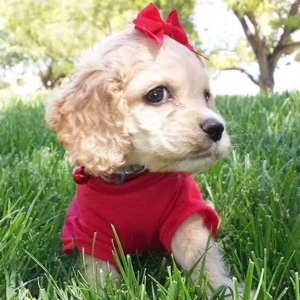 海洋中的一滴水点