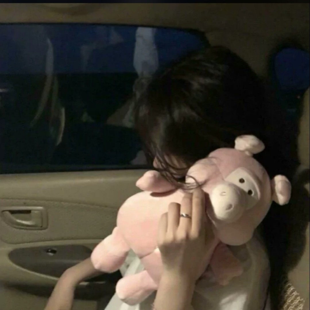 爱吃淹萝卜干的西柚